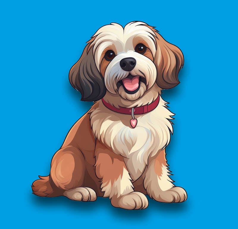 Cavachon