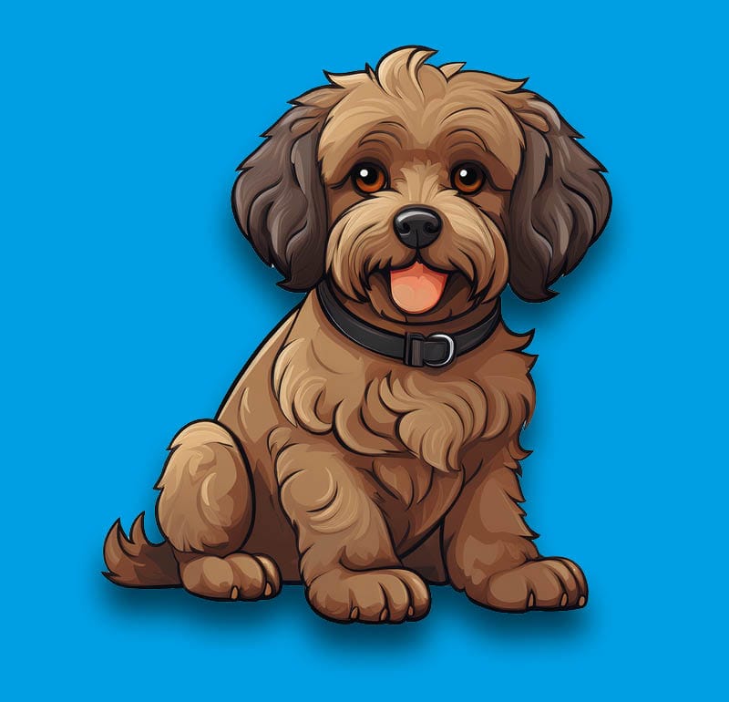 Cavapoo