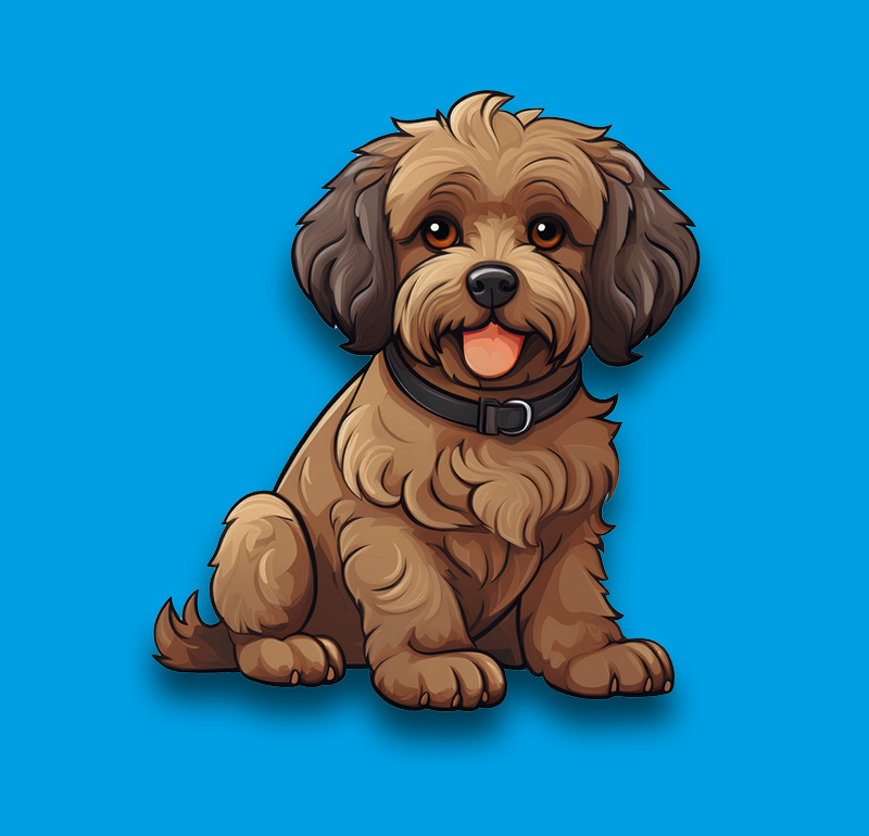 Cavapoo, an illustration of the British dog breed