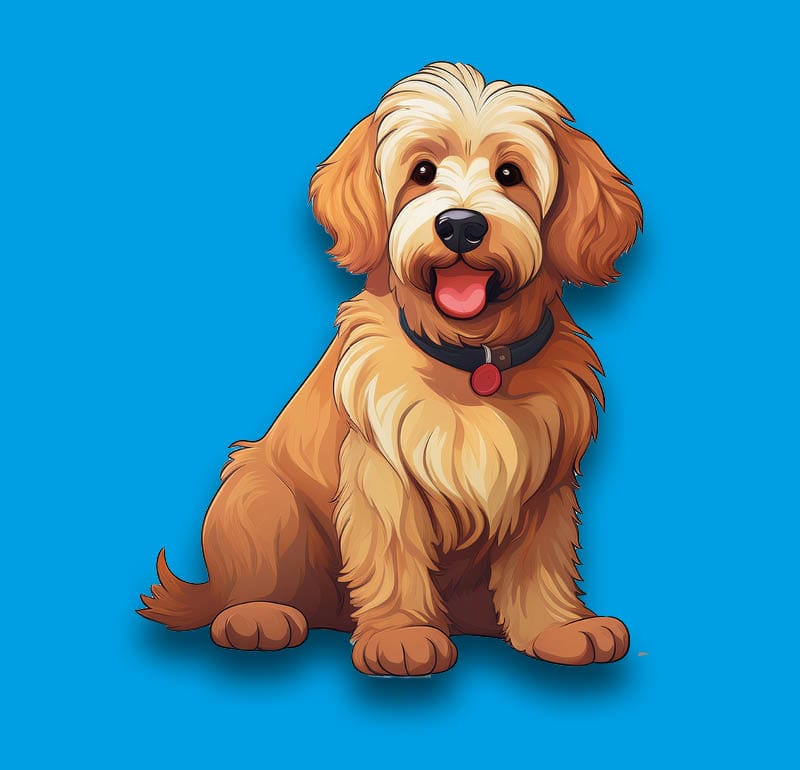 Goldendoodle