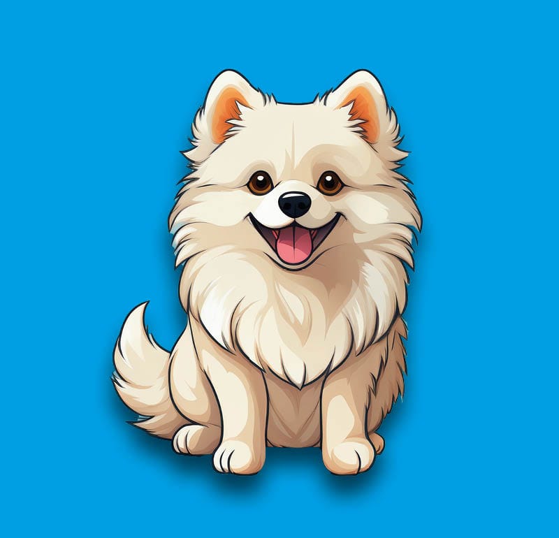 Pomeranian