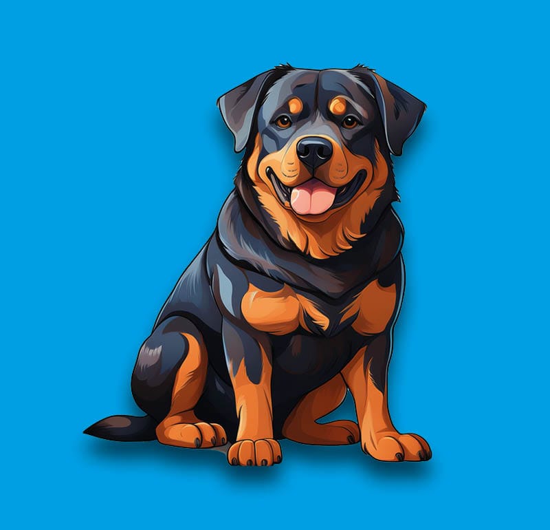 Rottweiler