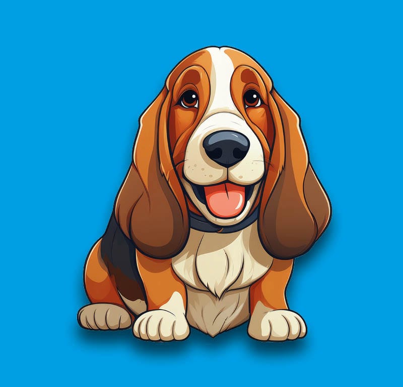 Basset Hound
