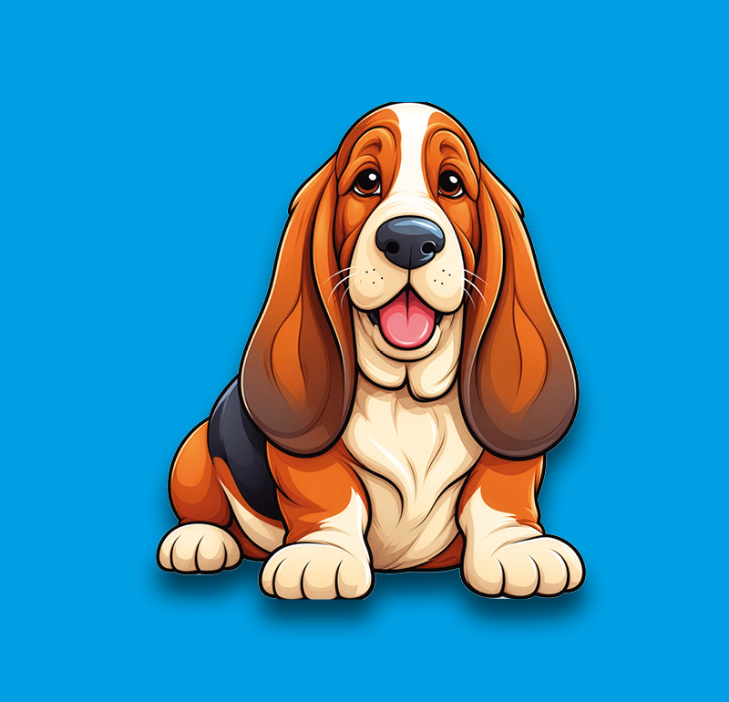 Basset Hound