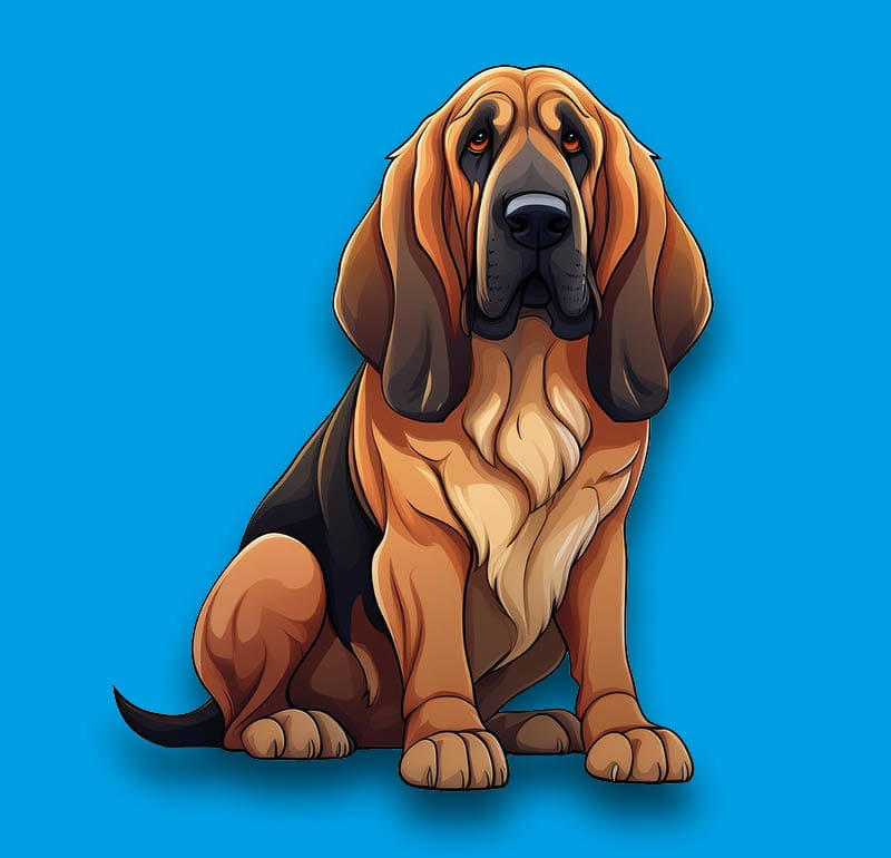 Bloodhound