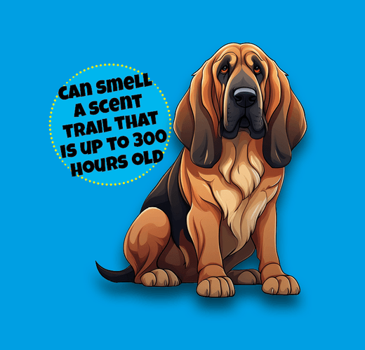 Bloodhound