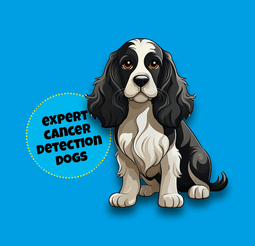 English Cocker Spaniel