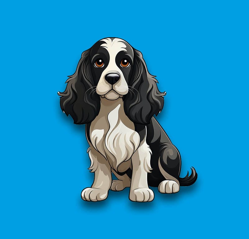 Cocker Spaniel