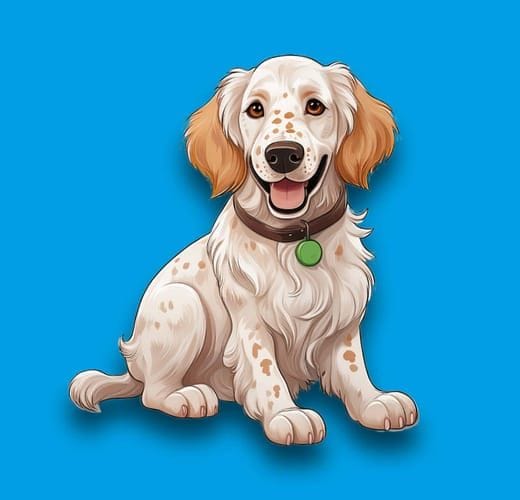 English Setter
