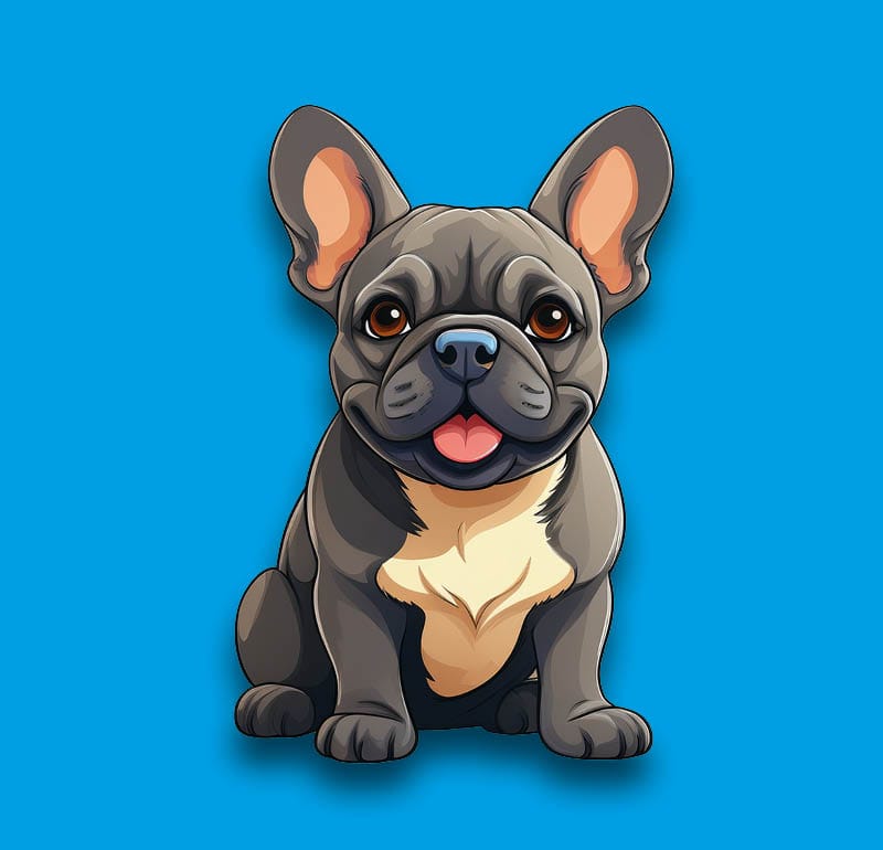 French Bulldog