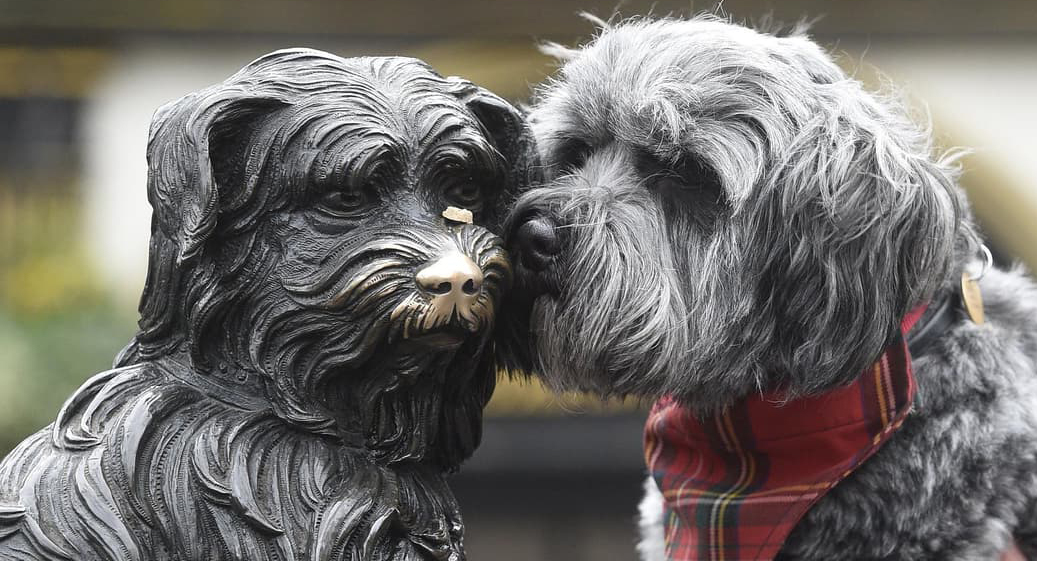 Greyfriars Bobby: Loyalty, Legend and the Making of a National Dog