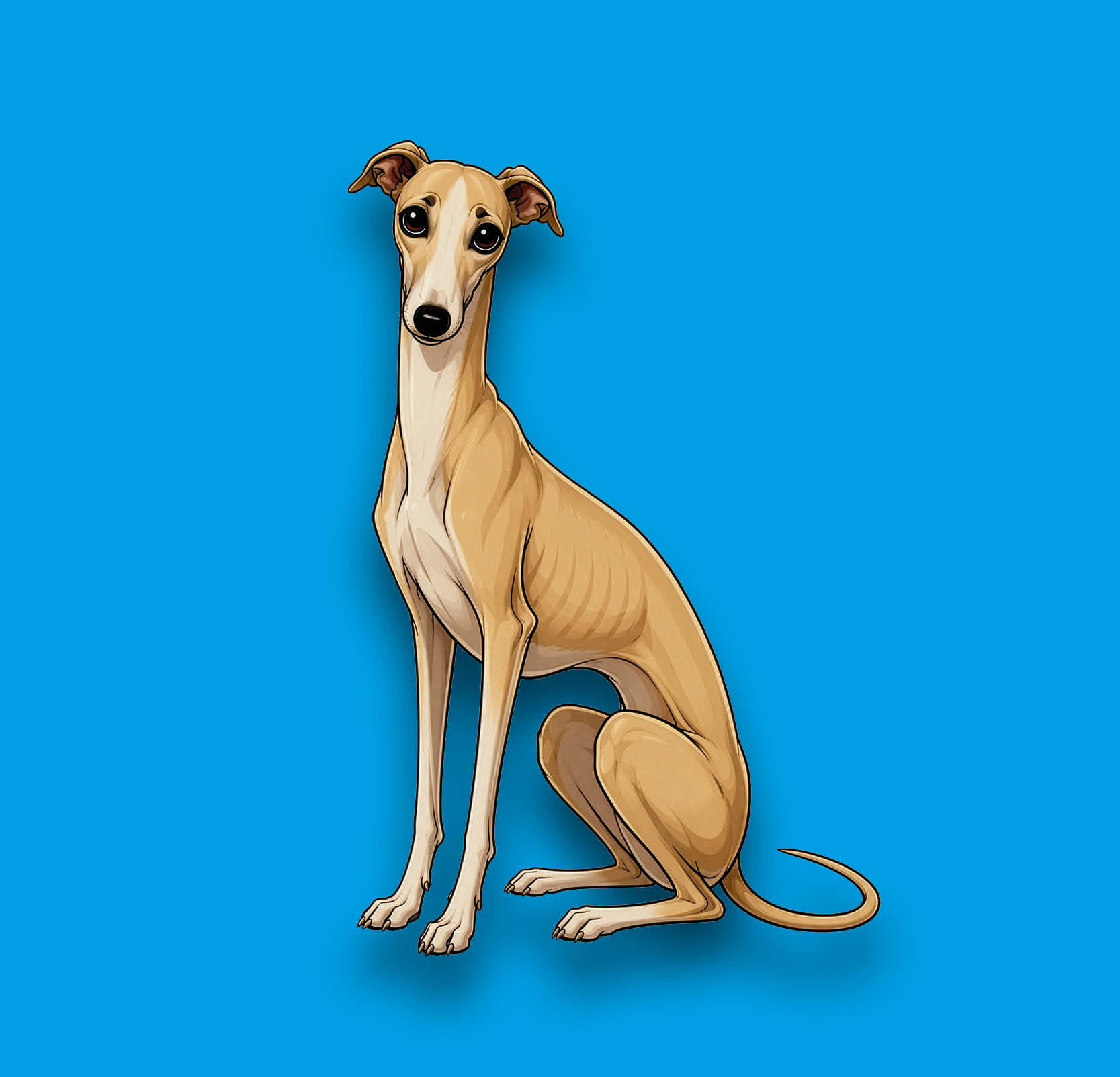 Greyhound