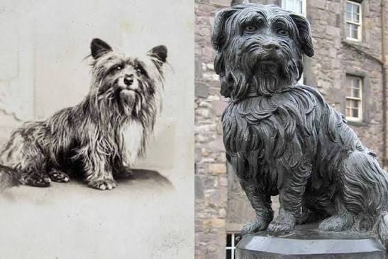 The Greyfriars Bobby statue in Edinburgh