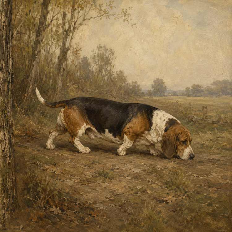 Basset and heavy hounds