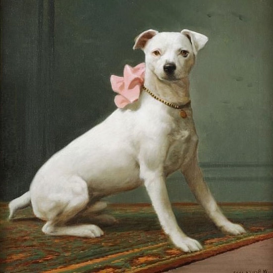 Old English White Terrier