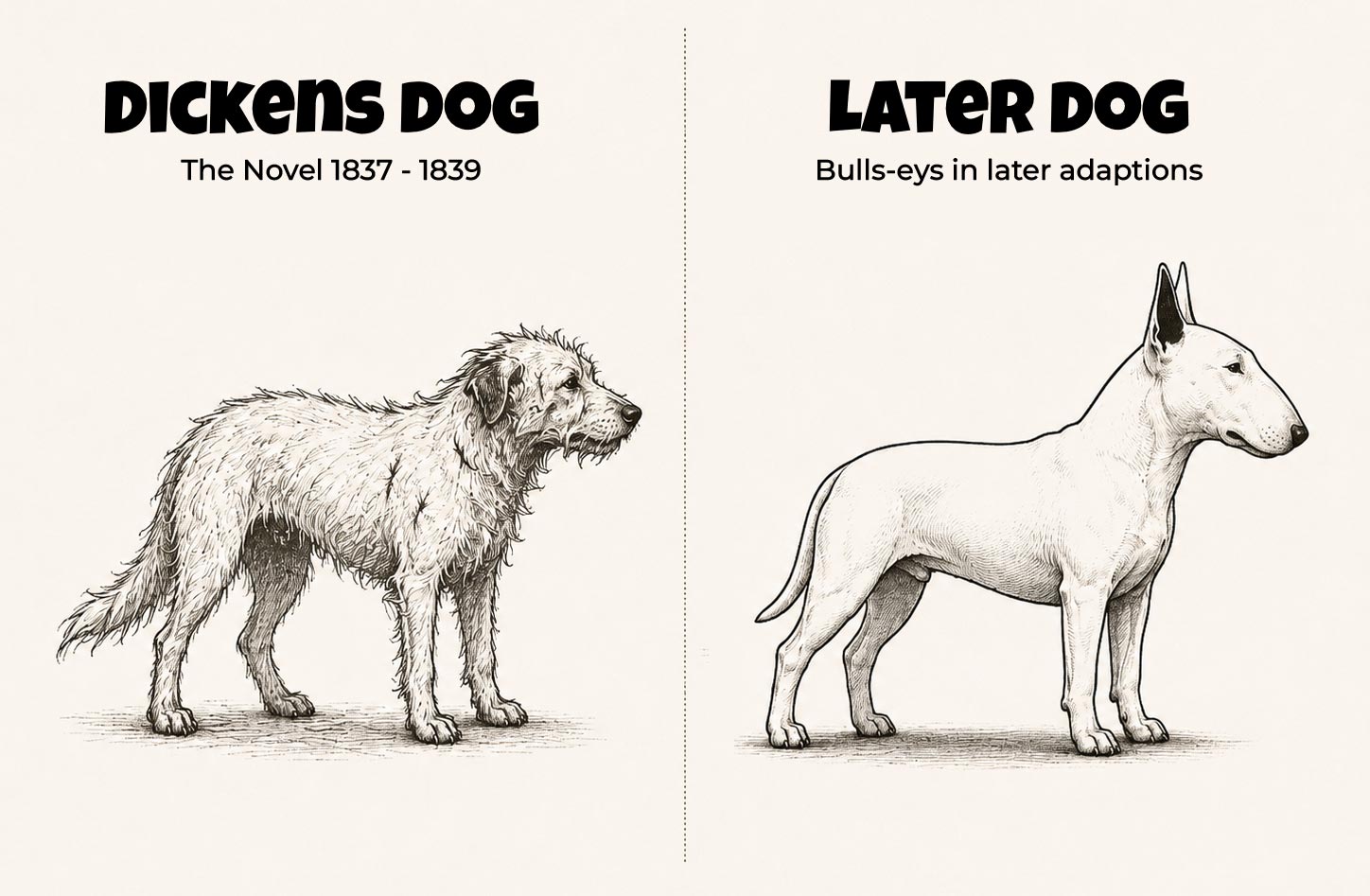 The shaggy dog Dickens described beside the smooth Bull Terrier culture remembers