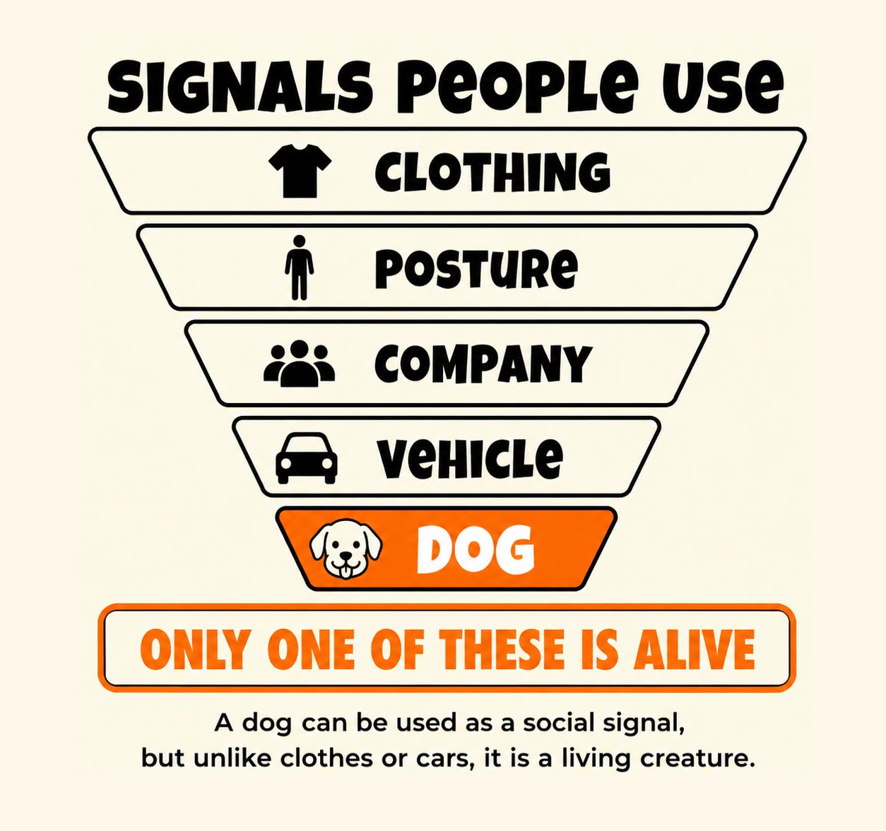 The signals people use to project identity