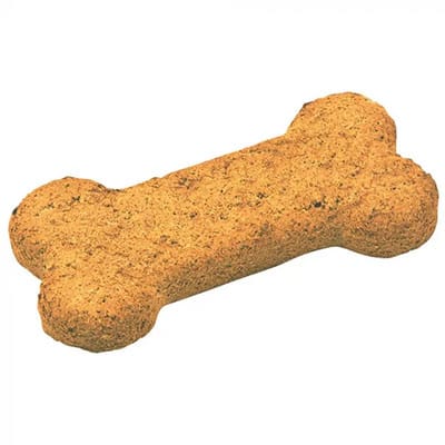 A single bone-shaped dog biscuit on a white background.