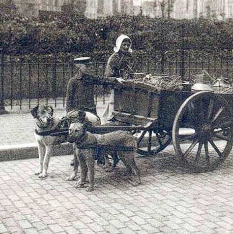 A Victorian street trader with a dog-drawn cart in London