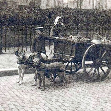 A Victorian street trader with a dog-drawn cart in London