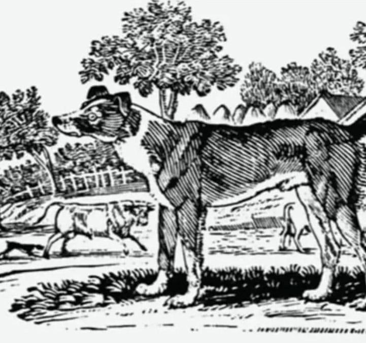 A woodcut of a sturdy drover's dog in the foreground, with a second dog driving cattle along a lane behind, among trees and farmland.