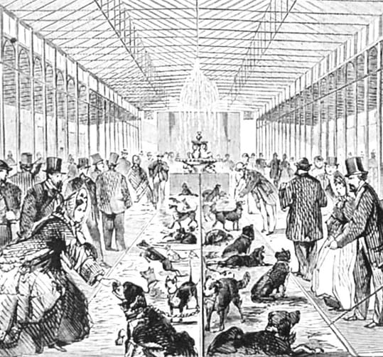A Victorian engraving of an early dog show in a large glazed hall, top-hatted gentlemen and crinolined ladies viewing rows of dogs tethered along the aisles.