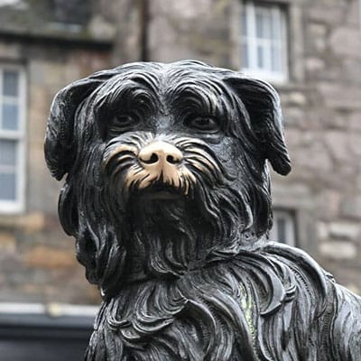 A close-up of a bronze statue of a shaggy terrier, its nose worn gold from visitors' touches.