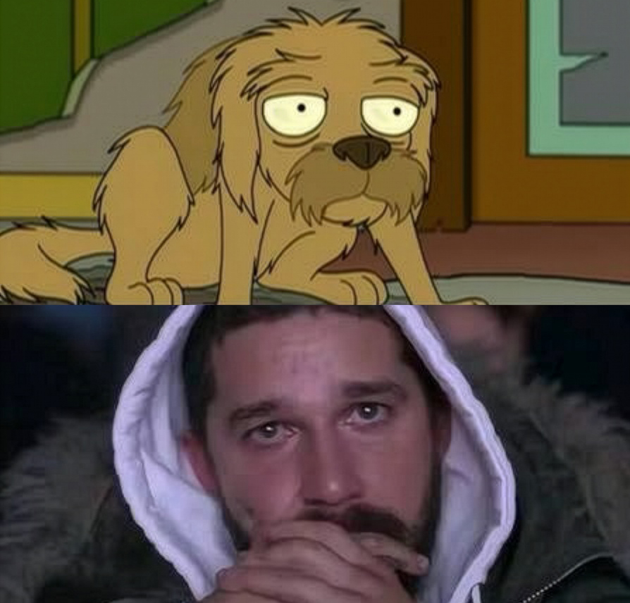 Jurassic Bark