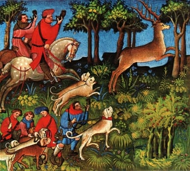 Medieval working dogs at their jobs, from pack hounds to herders