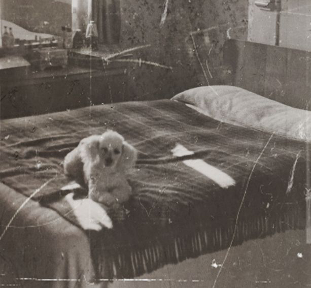 A family relaxing at home with their pet dog