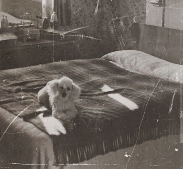 A family relaxing at home with their pet dog