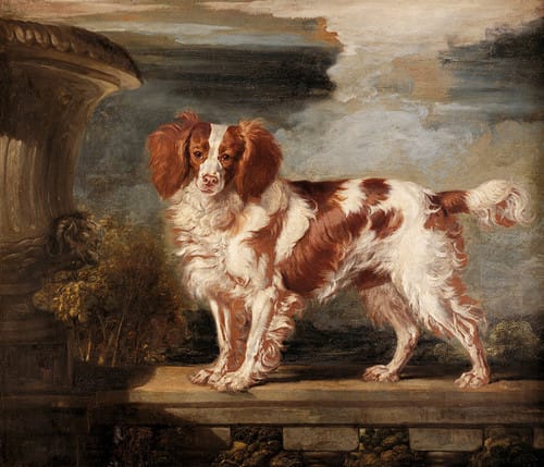 A Victorian lady with a small spaniel companion