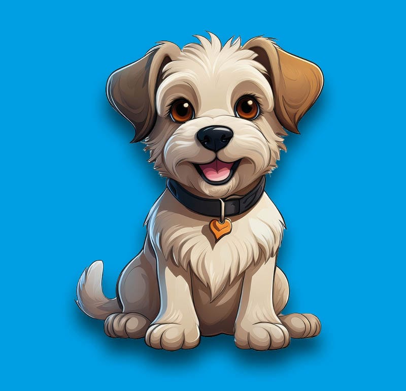 Jackapoo