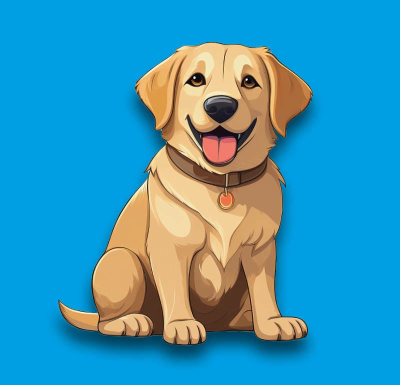 Labrador Retriever