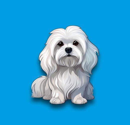Maltese