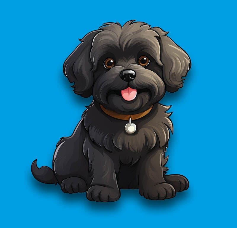 Maltipoo