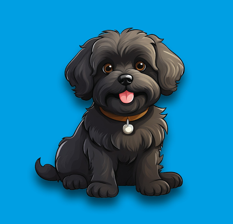 Maltipoo, an illustration of the British dog breed