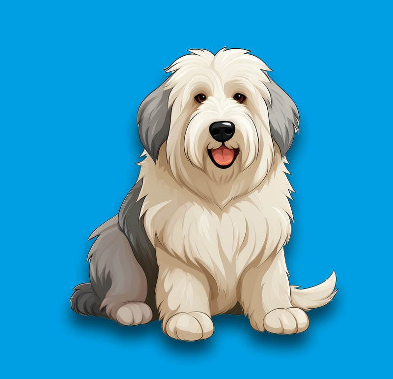 Old English Sheepdog