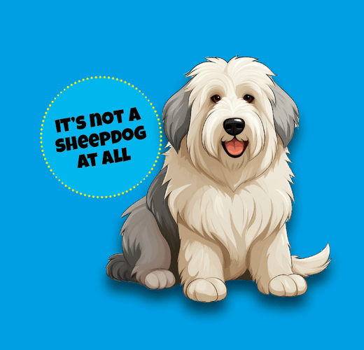 Old English Sheepdog