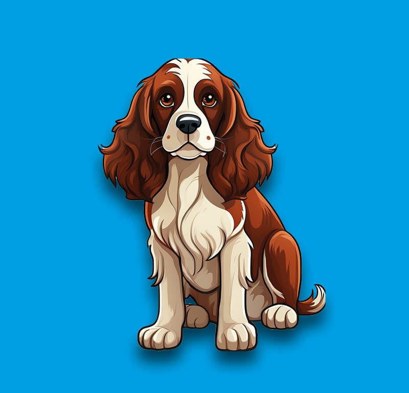 English Springer Spaniel