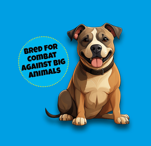 Staffordshire Bull Terrier