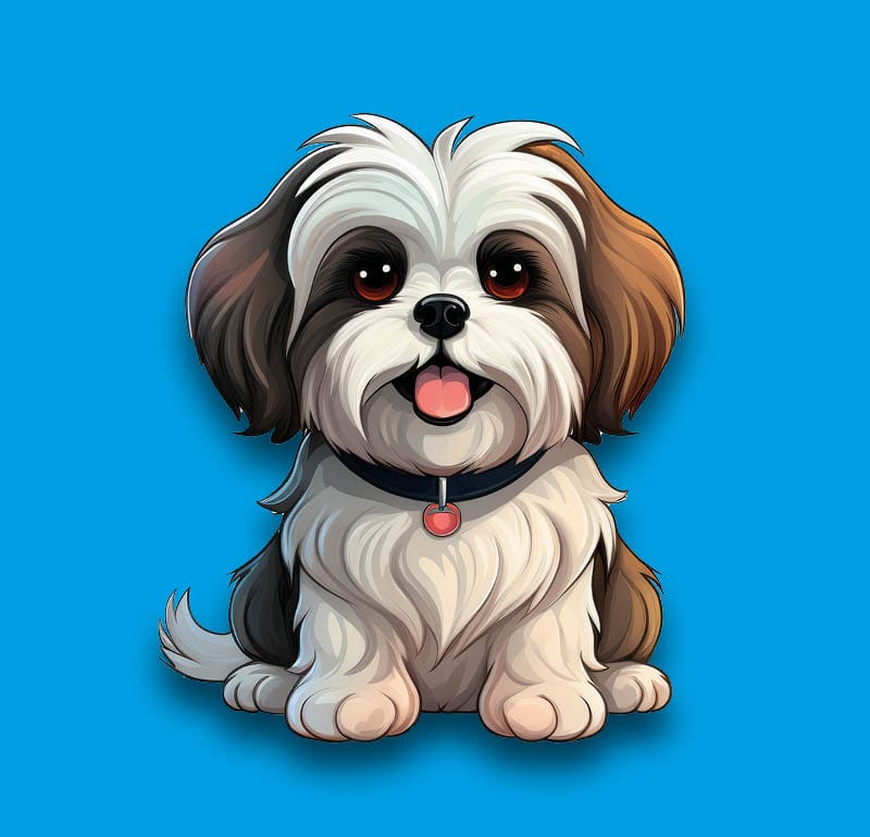 Shih Tzu