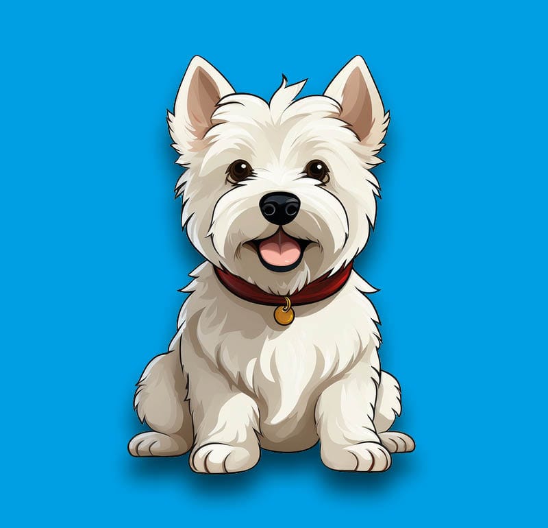 West Highland White Terrier
