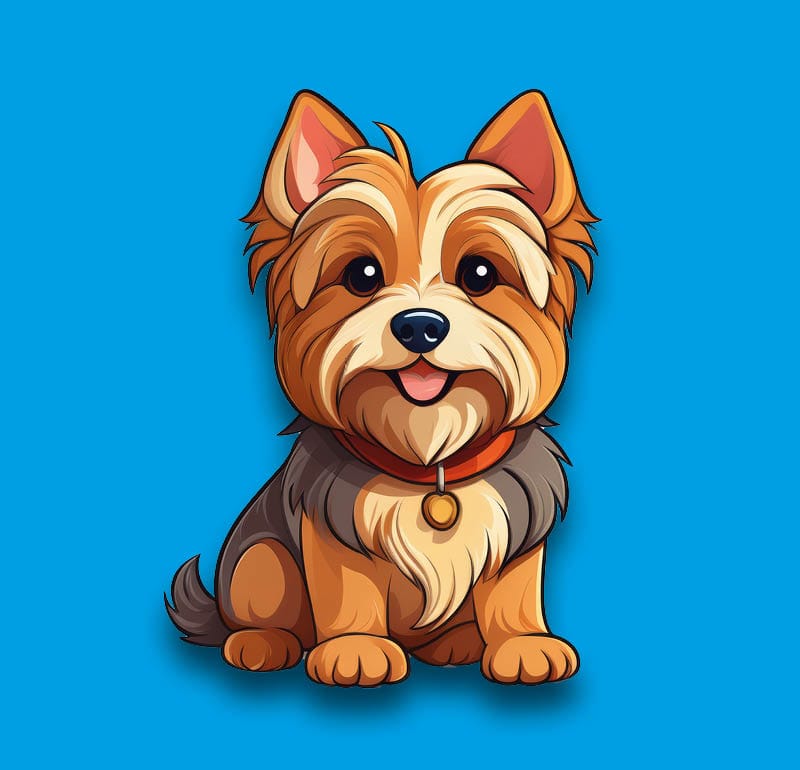 Yorkshire Terrier